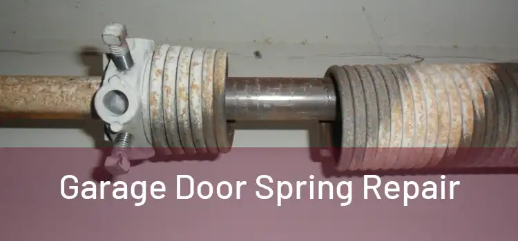  Garage Door Spring Repair 