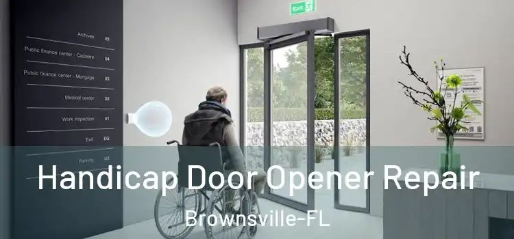  Handicap Door Opener Repair Brownsville-FL