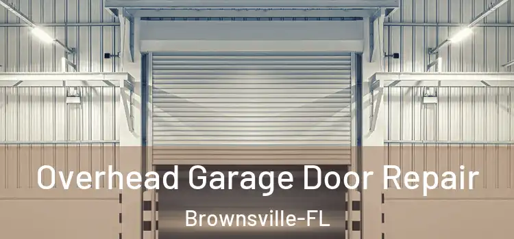  Overhead Garage Door Repair Brownsville-FL